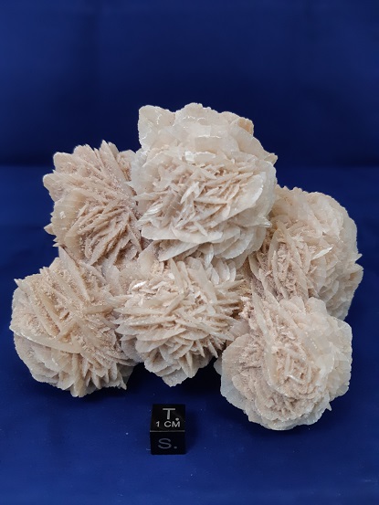Dana Sample 8307 - Gypsum variety Gypsum Rose